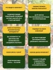 Солодовый экстракт для пива Разливное в жигулевском стиле, 1,9 кг